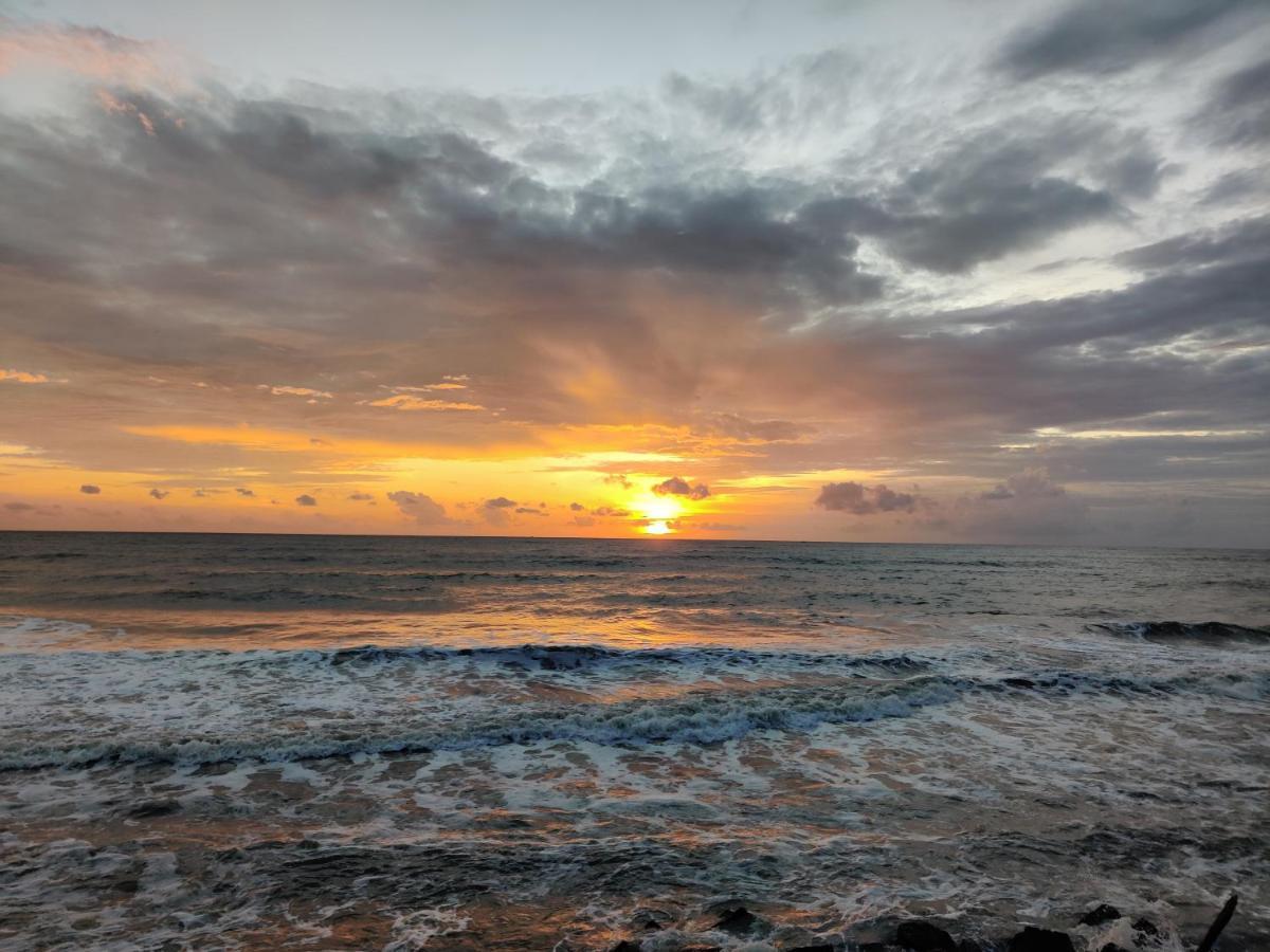 Sea View Resort-& Spa Cherai チェライ・ビーチ エクステリア 写真